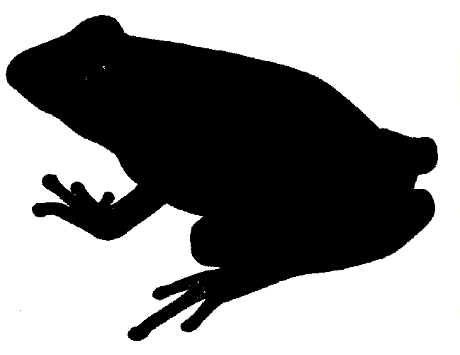 Related Pictures White Frog Silhouette With Black Background Clip ...