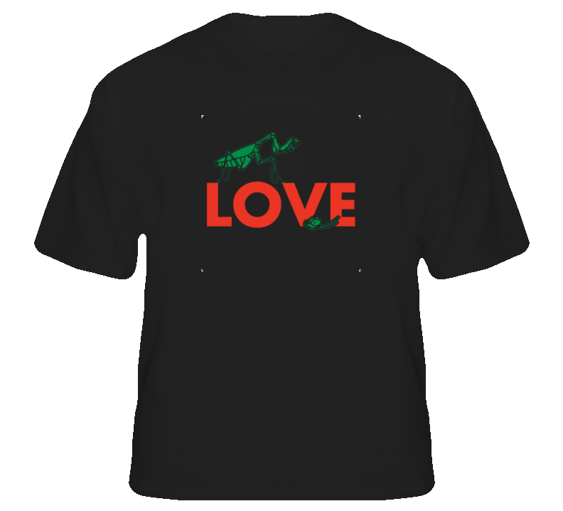 Love St Valentine's Day Funny T Shirt