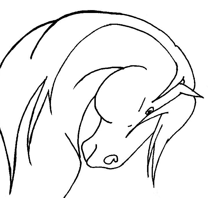 Horse Face Drawing