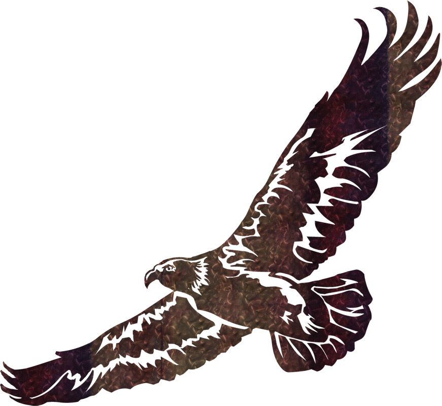 soaring eagle clipart black and white - photo #33