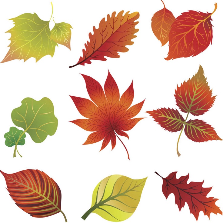 Fall leaves clip art vector | Job | Pinterest