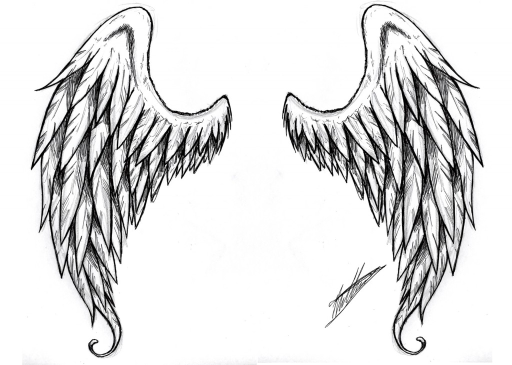 Pix For > Angel Wings Outline