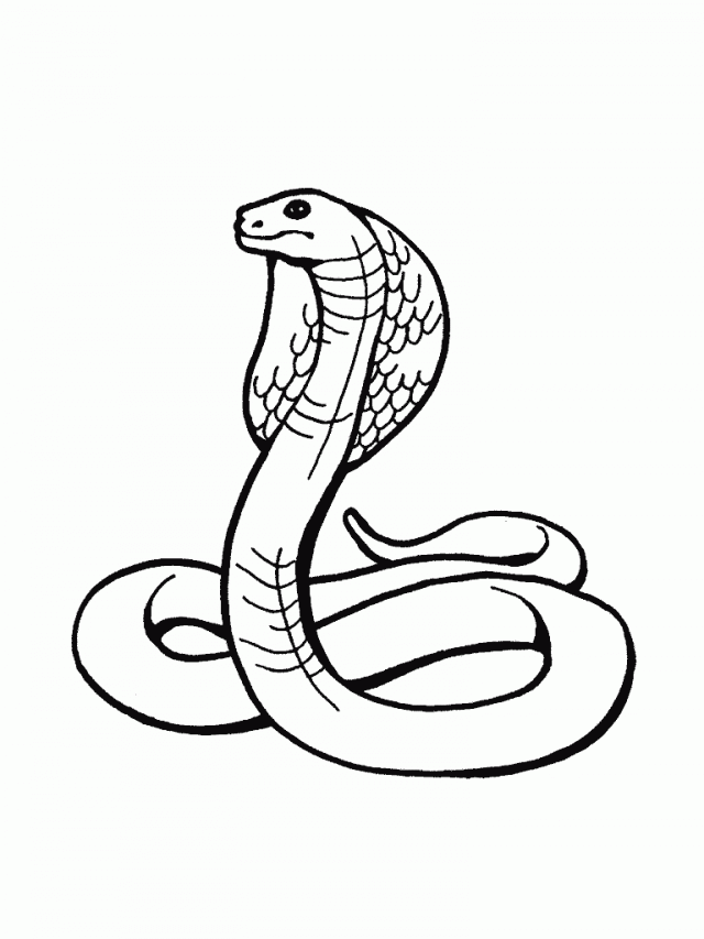 Rattlesnake Coloring Pages 31420 Label Coloring Pages Of A 167743 ...