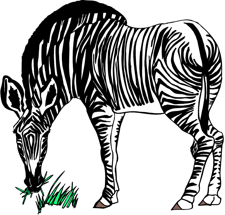 Free Zebra Clipart