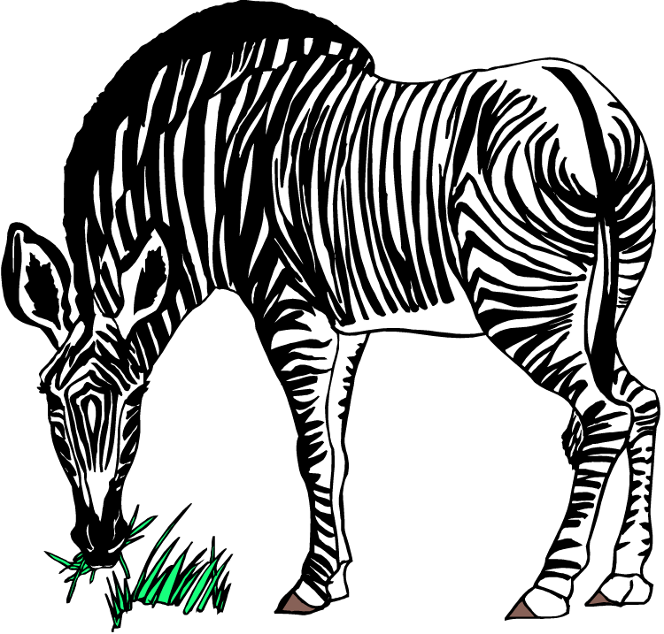 africa zebra clipart