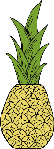 Vector drawing of pineapple | Public domain vectors