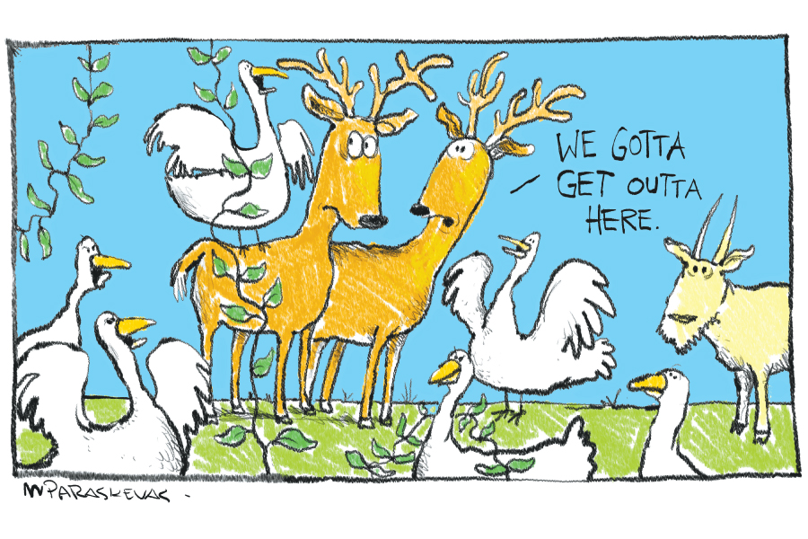 Invasive Species Cartoon Cliparts co