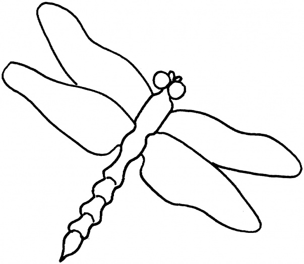 Southern flying squirrel pictures | www.fifaedu.com coloring pages ...