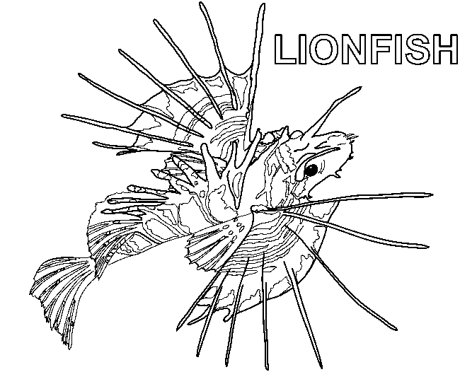 Lionfish coloring page - Animals Town - animals color sheet ...