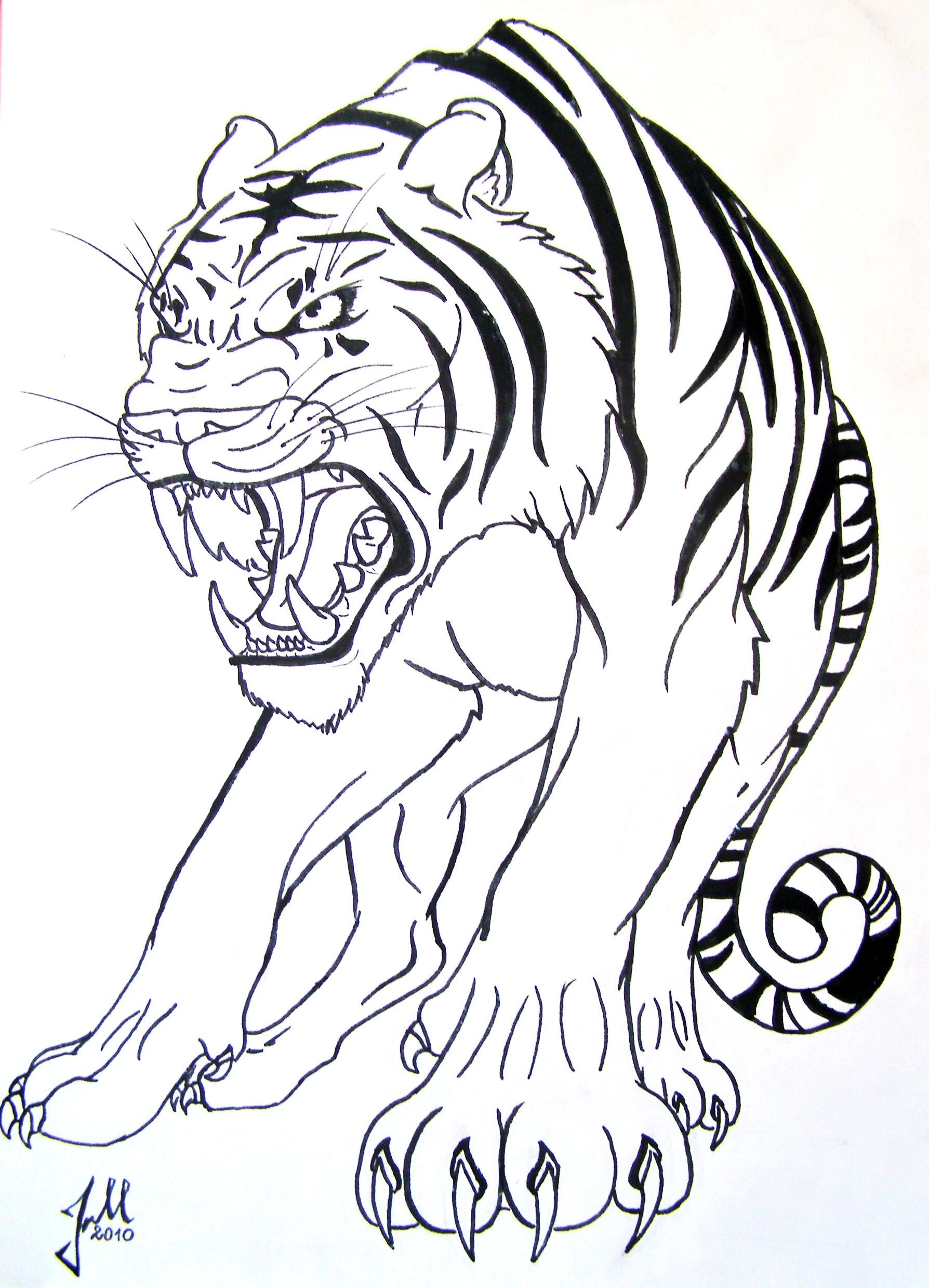 Tiger Black And White Drawing - Gallery