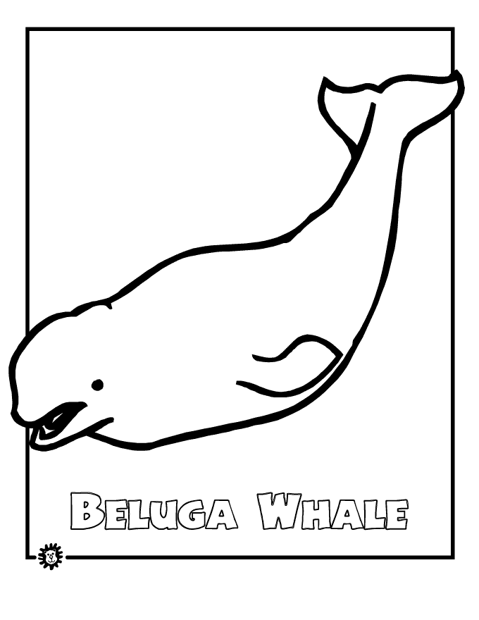Whale Drawings - AZ Coloring Pages
