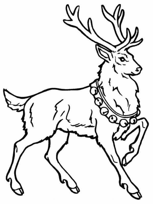 Cool Christmas Reindeer Drawings Images & Pictures - Becuo