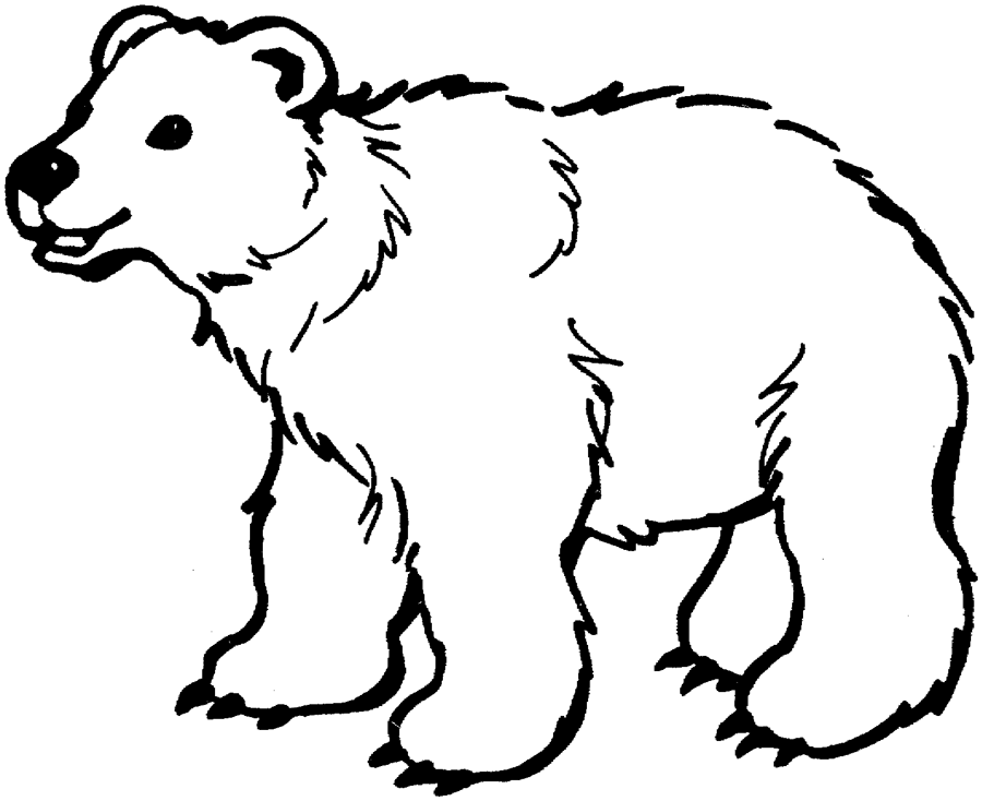 Polar bear coloring pictures | coloring pages for kids, coloring ...