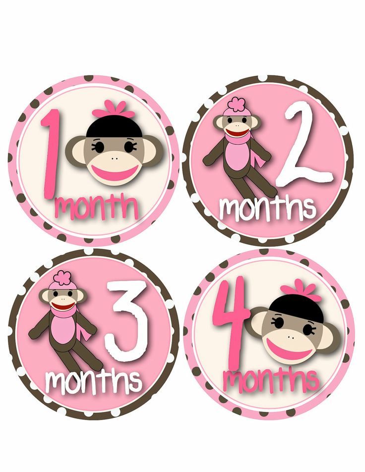 Sock Monkey Monthly Onesie Stickers...Pink and Brown Sock Monkeys for…