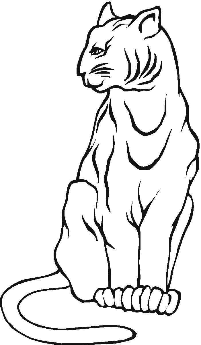 Cute Mountain Lion Coloring Page - deColoring