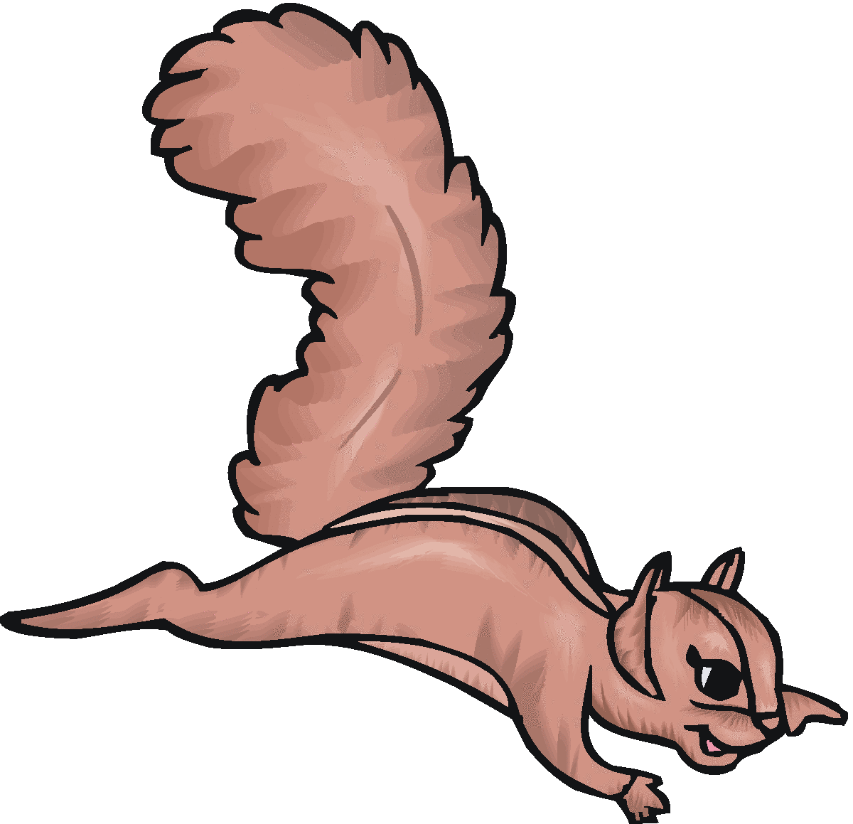 Images For > Squirrel With Nuts Clip Art