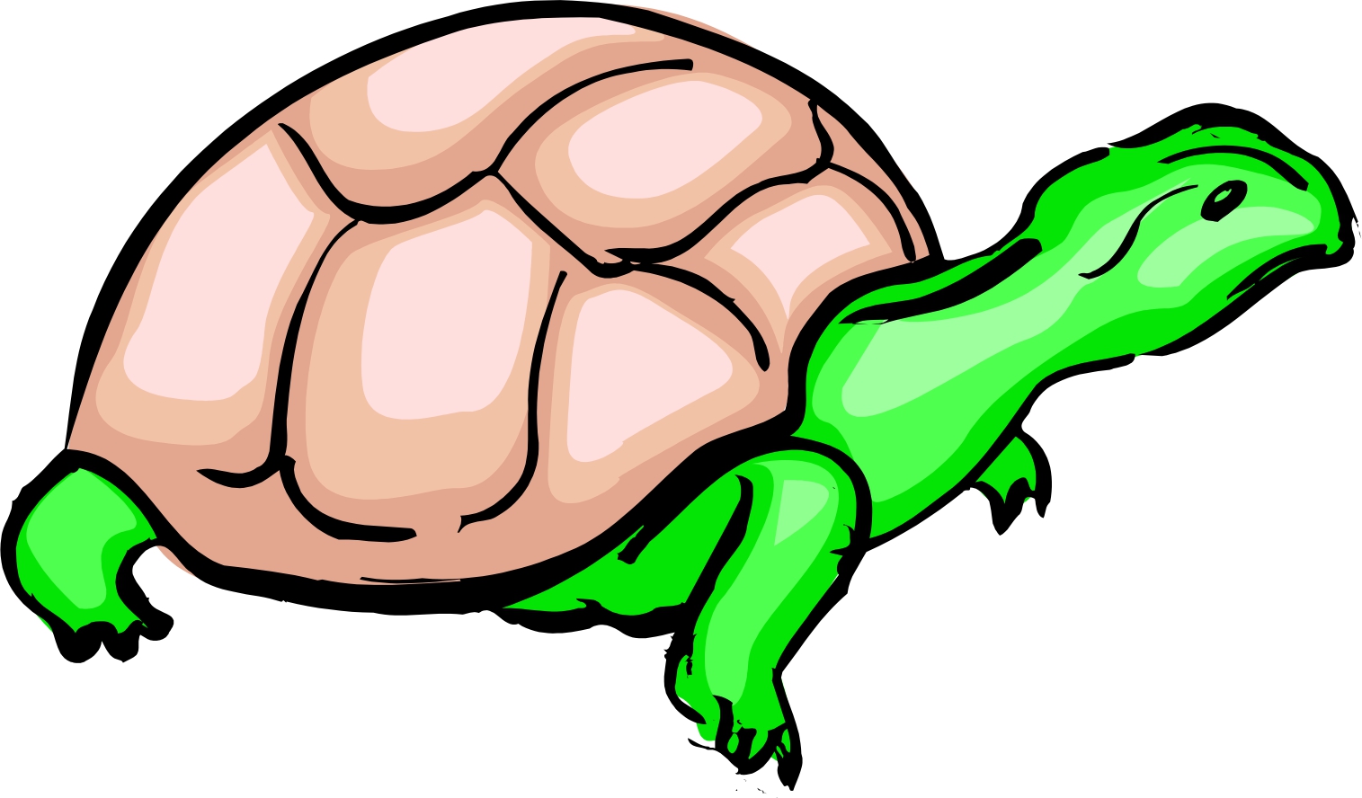 Cartoon Turtle - ClipArt Best - ClipArt Best