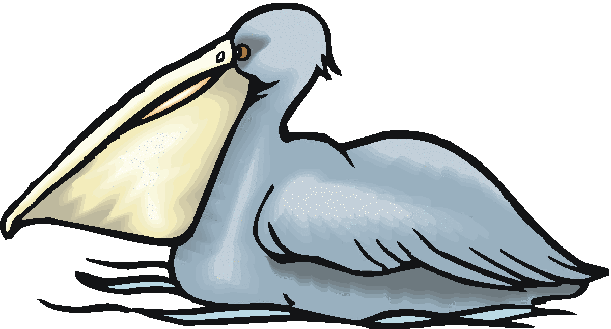 Free Pelican Clipart