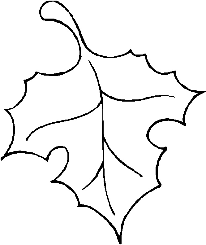 leaf outlines Colouring Pages