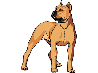 dog-graphics-boxers-613521.gif