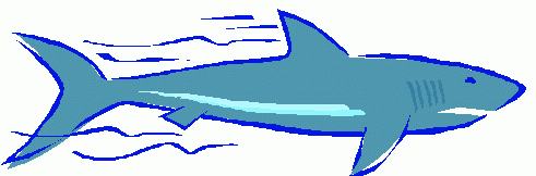 Shark Fin Clipart Black And White