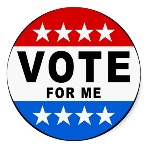 Vote For Me! Stickers | Zazzle