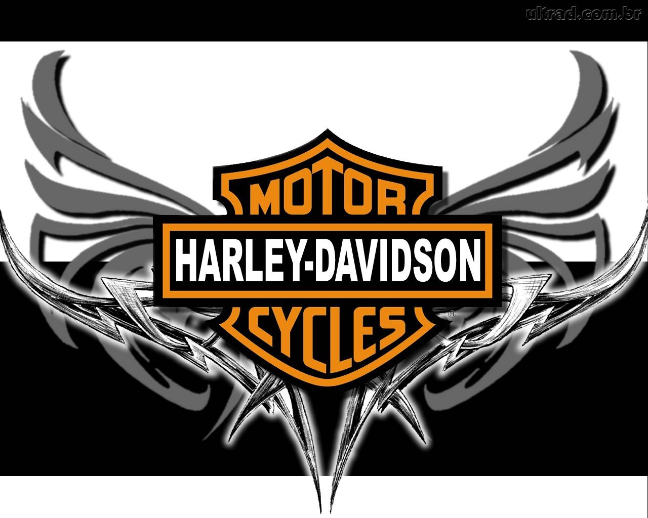Harley Davidson Arma O 512 X 512 21 Kb Jpeg | Top Harley Davidson ...