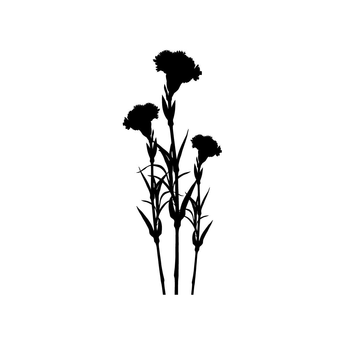 Images For > Carnation Flower Designs