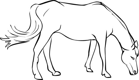 How to draw horse Colouring Pages (page 3)