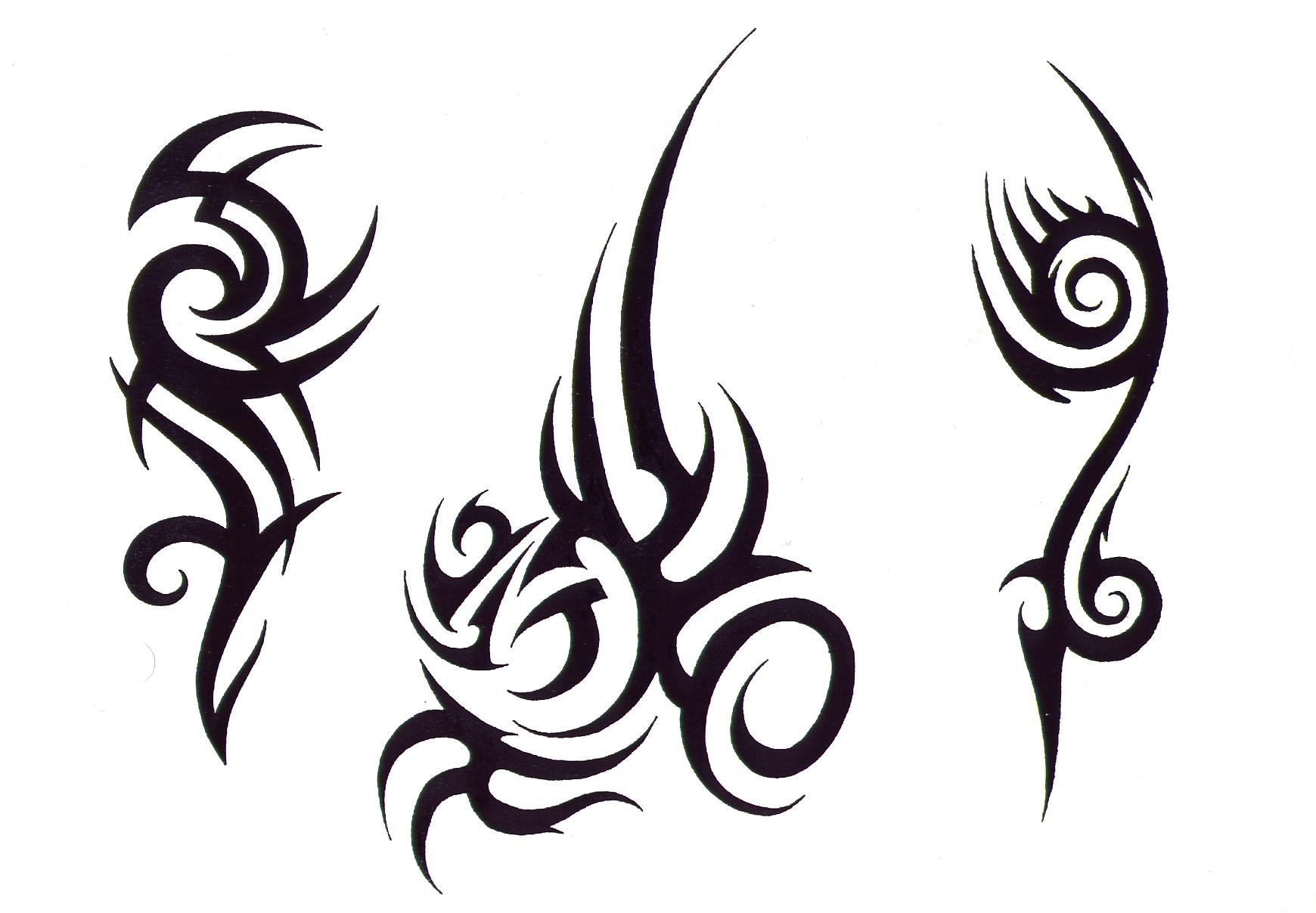 Tattoo Design: Tribal Tattoo Pictures