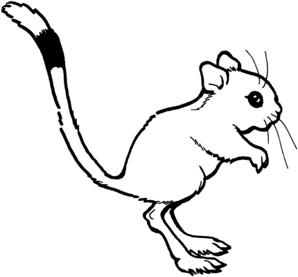 cute cartoon rats Colouring Pages