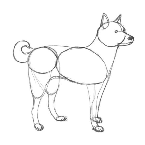 How to draw dog - Drawing Factory