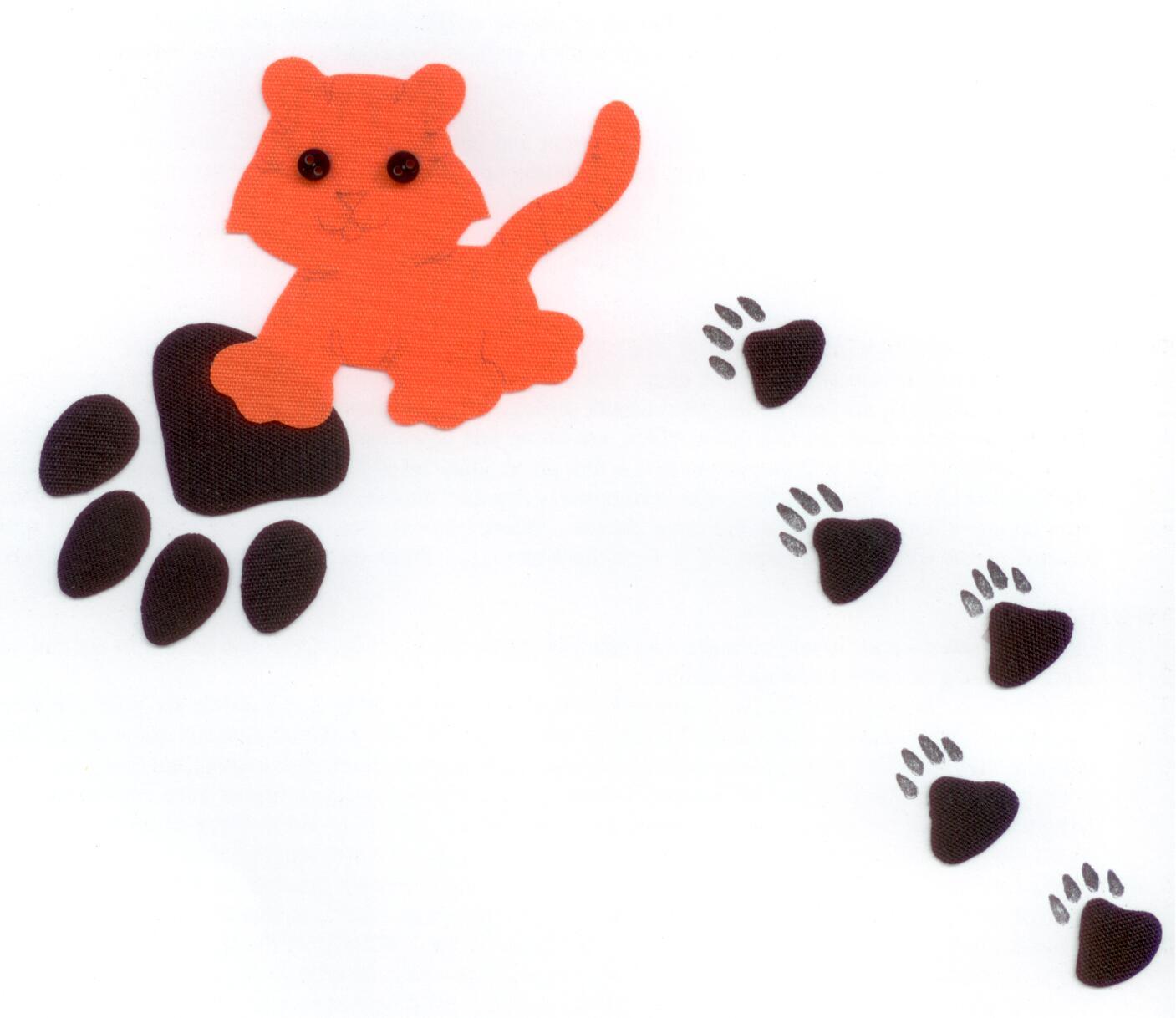 Baby Tiger With Paw Prints: Pictures Of Tiger Paw Prints ...