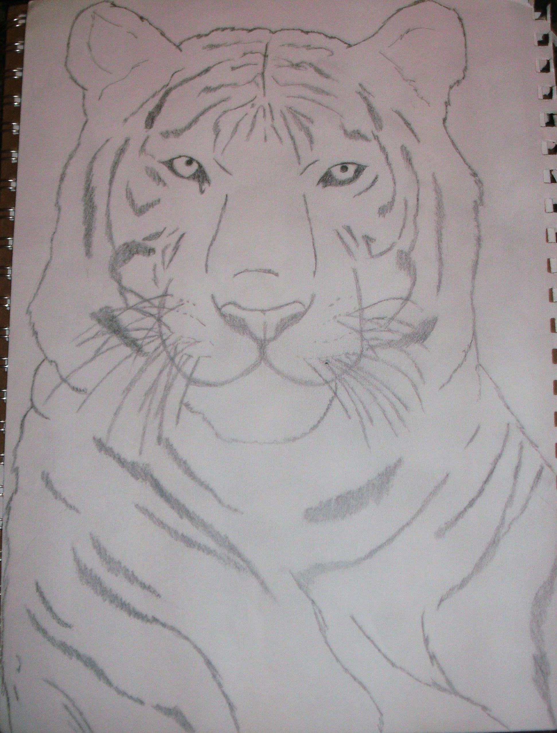 White Tiger Drawing - AnnaR © 2015 - Aug 22, 2011