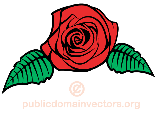 Rose Vector Art | Download Free Vector Art & Graphics | 123Freevectors