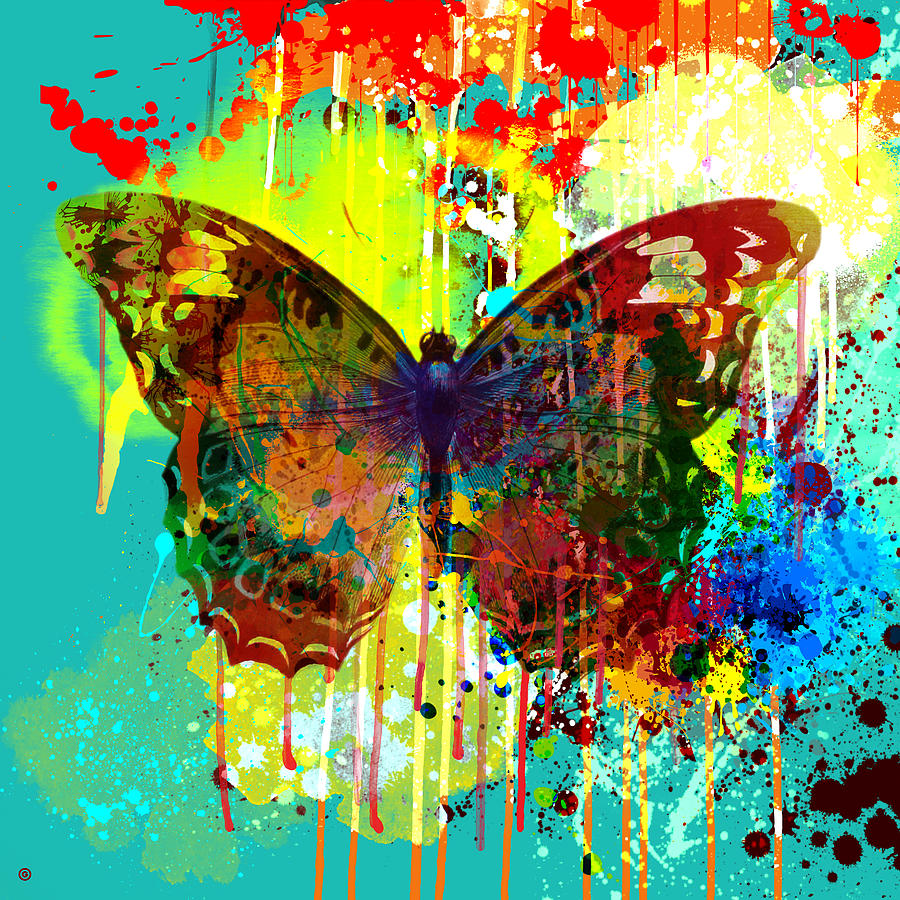 Abstract Butterfly by Gary Grayson
