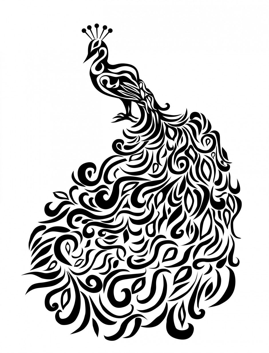 free black and white peacock clipart - photo #15