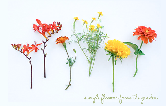 Lovely Little Flowers ♥ Чудесни малки цветя | 79 ideas