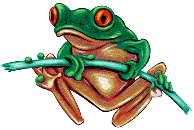 Poison Dart Frog Clip Art | Clipart Panda - Free Clipart Images