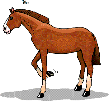 Classic Horse Cartoon Horse Clip Art horsefly « « Classic Horse