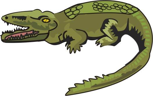 Animal's Name, Coloring Pages Alligator