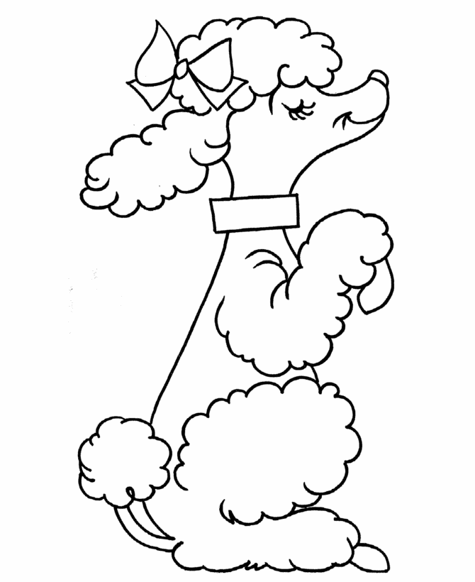 How To Draw A Dog Step By Step : Poodle Coloring Pages Printable ...