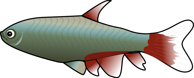 Animated Fish Clipart - ClipArt Best