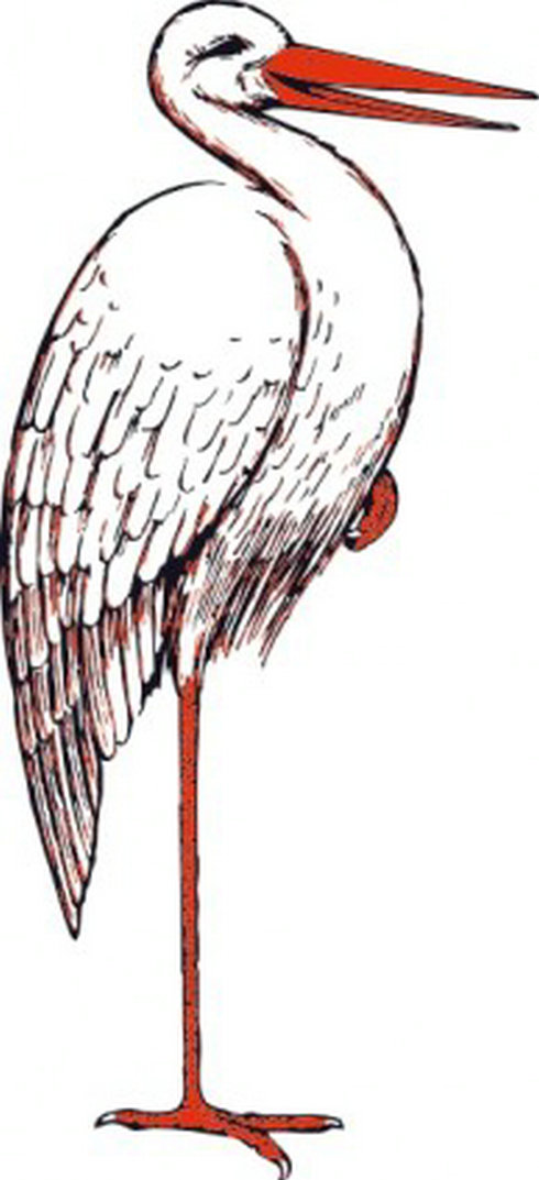 Stork Clip Art | Free Vector Download - Graphics,Material,EPS,Ai ...