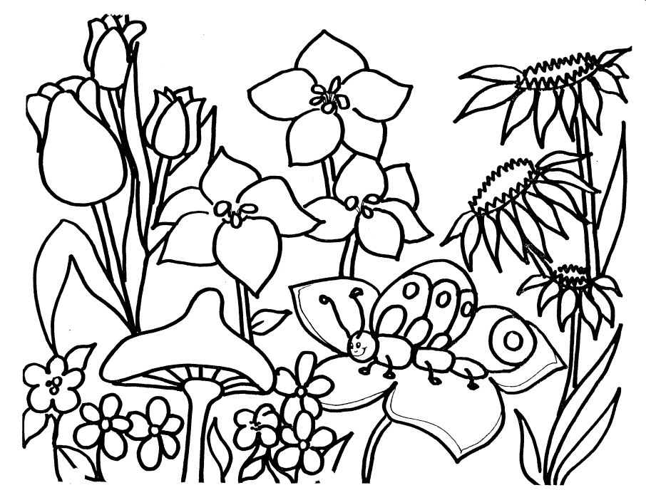 Free spring coloring pages printableColorong pages