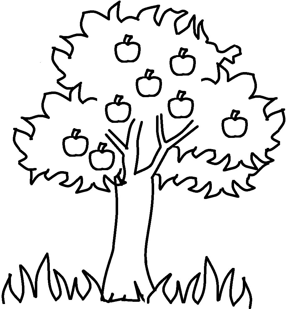 apple tree clipart black and white - photo #11