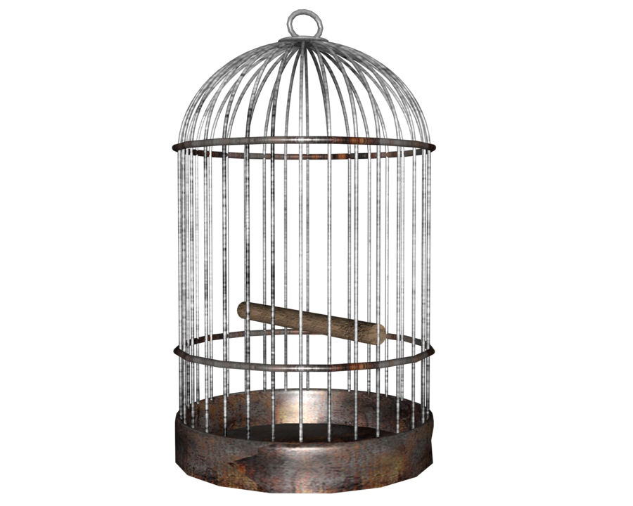 side birdcage cage png by madetobeunique on deviantART