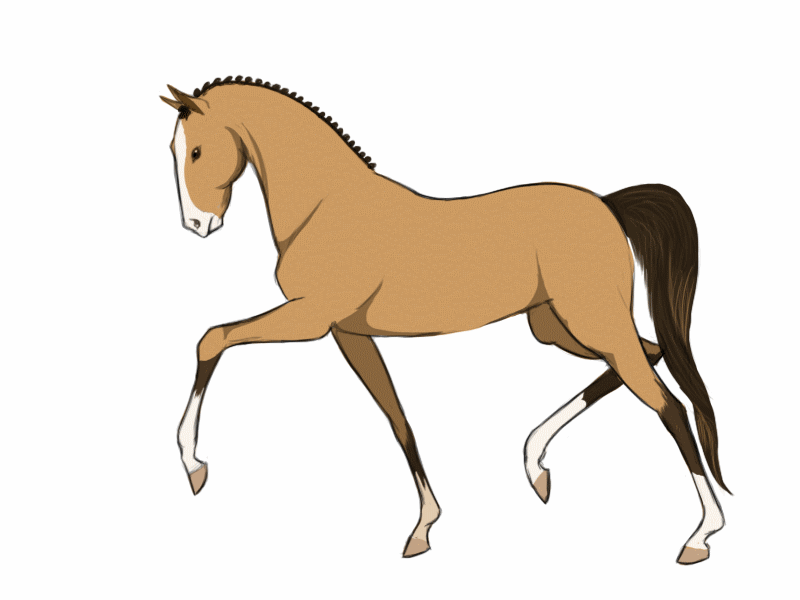 AKI GIFS: Gifs animados Cavalos