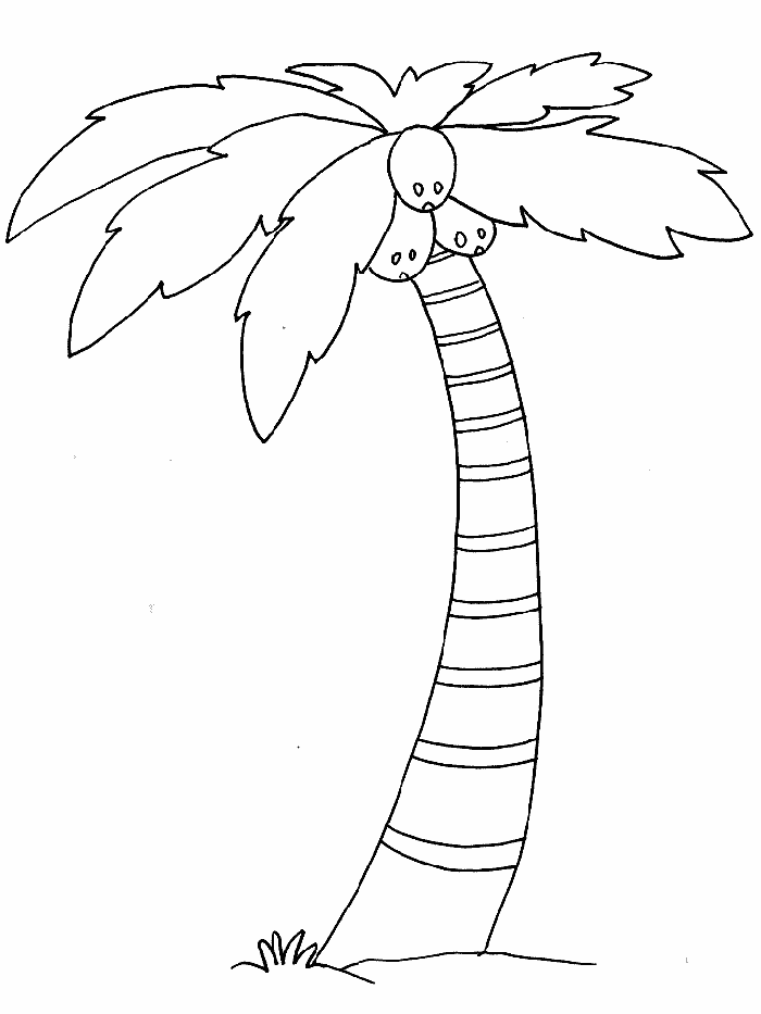 Coconut Tree Coloring Pages | Tree Coloring Pages | Printable Free ...
