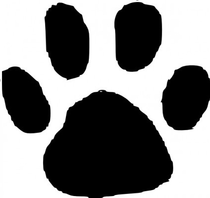 Elephant footprint, Panther paw and Cheetah Vector - ClipArt Best ...
